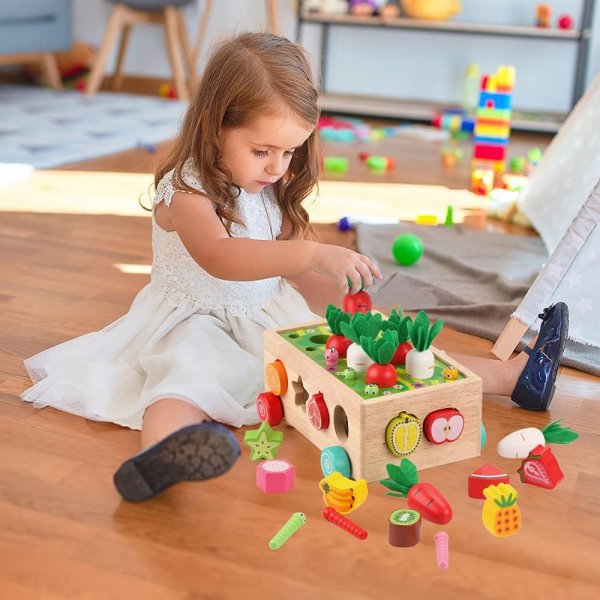 Wooden Educational Toys