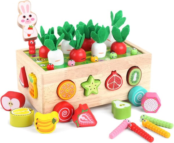 Wooden Educational Toys