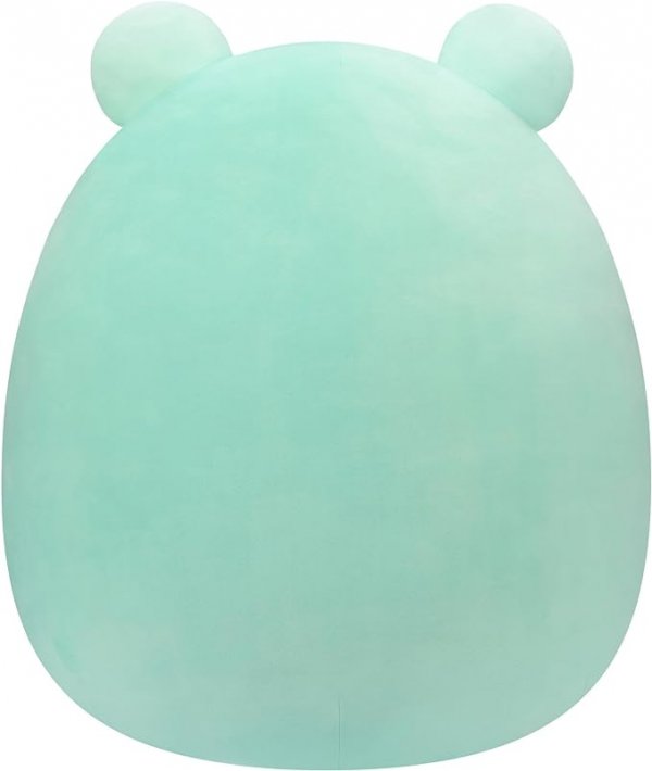 Teal Poison Dart Frog