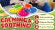 Color Sorting Toys Sensory Toys