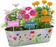 Paint & Plant Flower Growing Kit for Kids